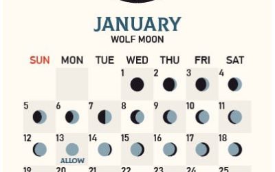 2025 Moon Calendar